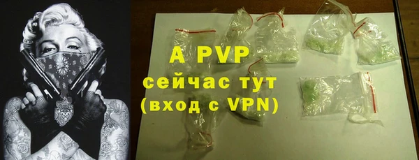индика Вязники