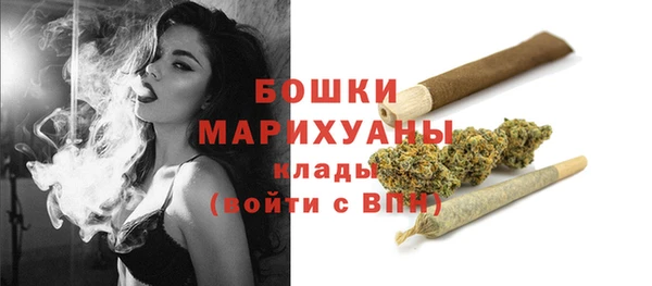 индика Вязники