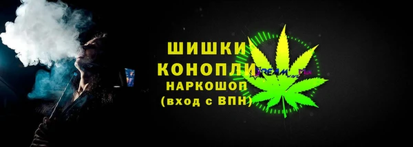 индика Вязники