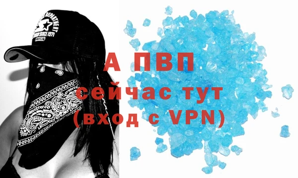индика Вязники