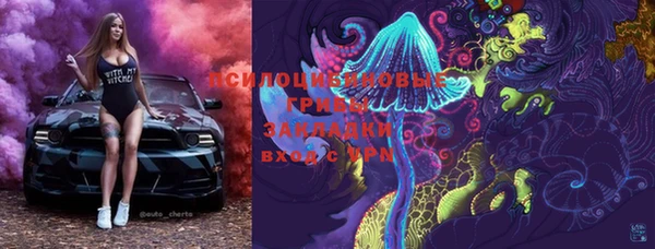 индика Вязники