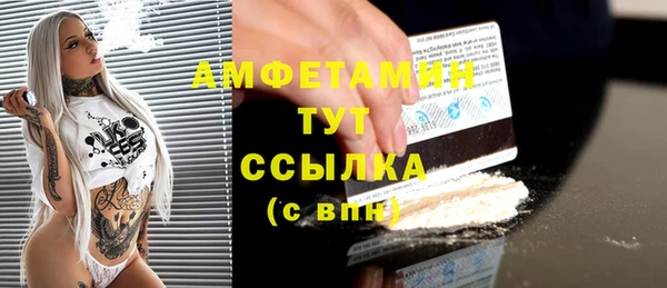 индика Вязники