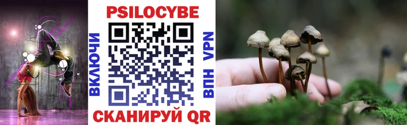дарнет шоп  Калязин  Псилоцибиновые грибы Cubensis 